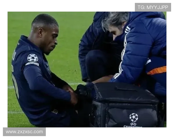 意甲裁判误判引争议卡卢卢被冤